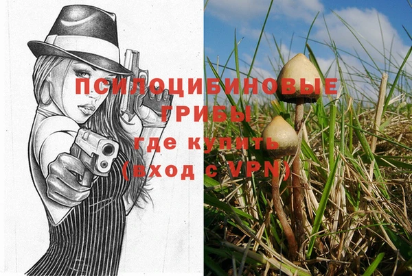 2c-b Арсеньев