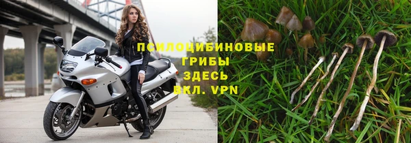 молекула духа Армянск