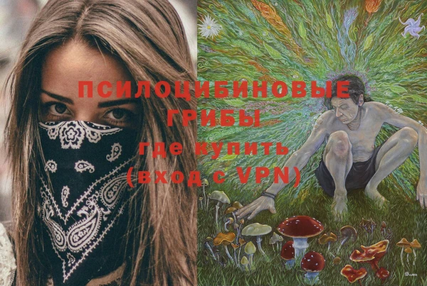 молекула духа Армянск