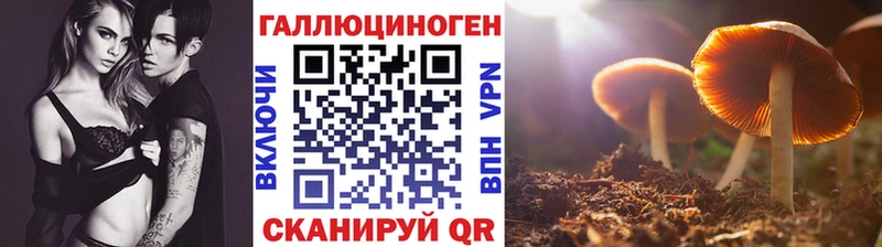 Галлюциногенные грибы MAGIC MUSHROOMS  Ряжск 