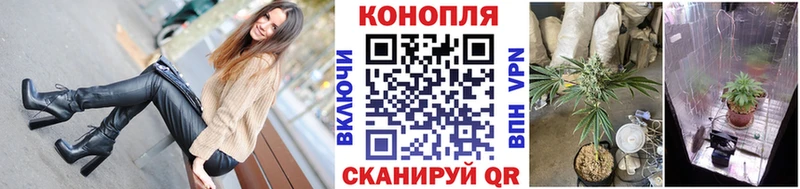 Канабис ГИДРОПОН  Ряжск 